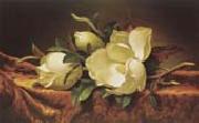 Martin Johnson Heade Magnolia oil painting artist